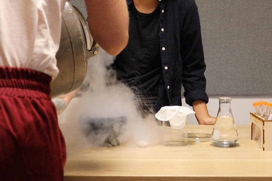 Woman pouring dry ice to extract protein from tomato plants